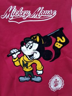 ディズニー Mickey & Co. ベースボール ジャケット L ディズニー Mickey & Co. ベースボール ジャケット L Mickey