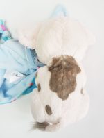 Disney Store Babies Moana Pua In Pouch Soft Plush Toy