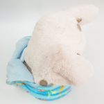 Disney Store Babies Moana Pua In Pouch Soft Plush Toy