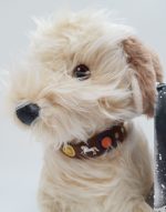 Disney-Store-Cruella-Buddy-Plush-Soft-Toy-Small-12-4770 Disney Store Cruella Buddy Plush Soft Toy Small 12"