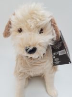 Disney-Store-Cruella-Buddy-Plush-Soft-Toy-Small-12-9957 Disney Store Cruella Buddy Plush Soft Toy Small 12"