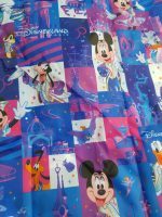 Disneyland Paris 30th Anniversary Lightweight Folding Tote Shopper Bag
