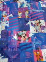 Disneyland Paris 30th Anniversary Lightweight Folding Tote Shopper Bag