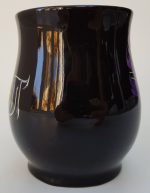 Disneyland Paris Sleeping Beauty Maleficent & Raven Mug