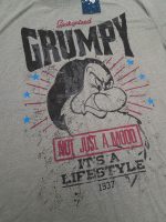 Disneyland Paris Snow White & The Seven Dwarfs Grumpy Lifestyle T-Shirt Adults XL