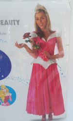 Rubies Disney Sleeping Beauty Aurora Adult Fancy Dress Costume Small Size 8-10