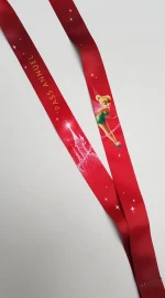 Disneyland_Paris_Annual_Pass_Lanyard_Ticket_Holder_Wallet_Pin_Trading_Parks-5