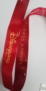 Disneyland_Paris_Annual_Pass_Lanyard_Ticket_Holder_Wallet_Pin_Trading_Parks-6