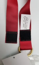Disneyland_Paris_Annual_Pass_Lanyard_Ticket_Holder_Wallet_Pin_Trading_Parks-7