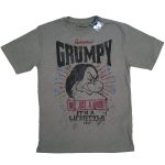 Disneyland Paris Snow White & 7 Dwarfs Grumpy T-Shirt Adult Medium M Disneyland Paris Snow White & 7 Dwarfs Grumpy T-Shirt Adult Medium M