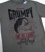 Disneyland Paris Snow White & 7 Dwarfs Grumpy T-Shirt Adult Medium M Disneyland Paris Snow White & 7 Dwarfs Grumpy T-Shirt Adult Medium M